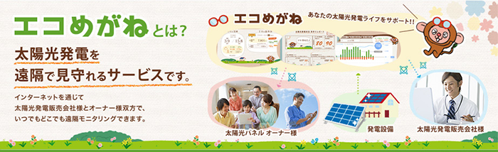 エコめがね