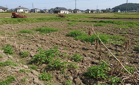 土地のイメージ