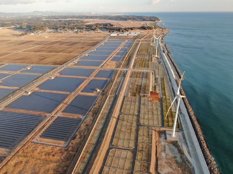 海岸沿いの太陽光発電所