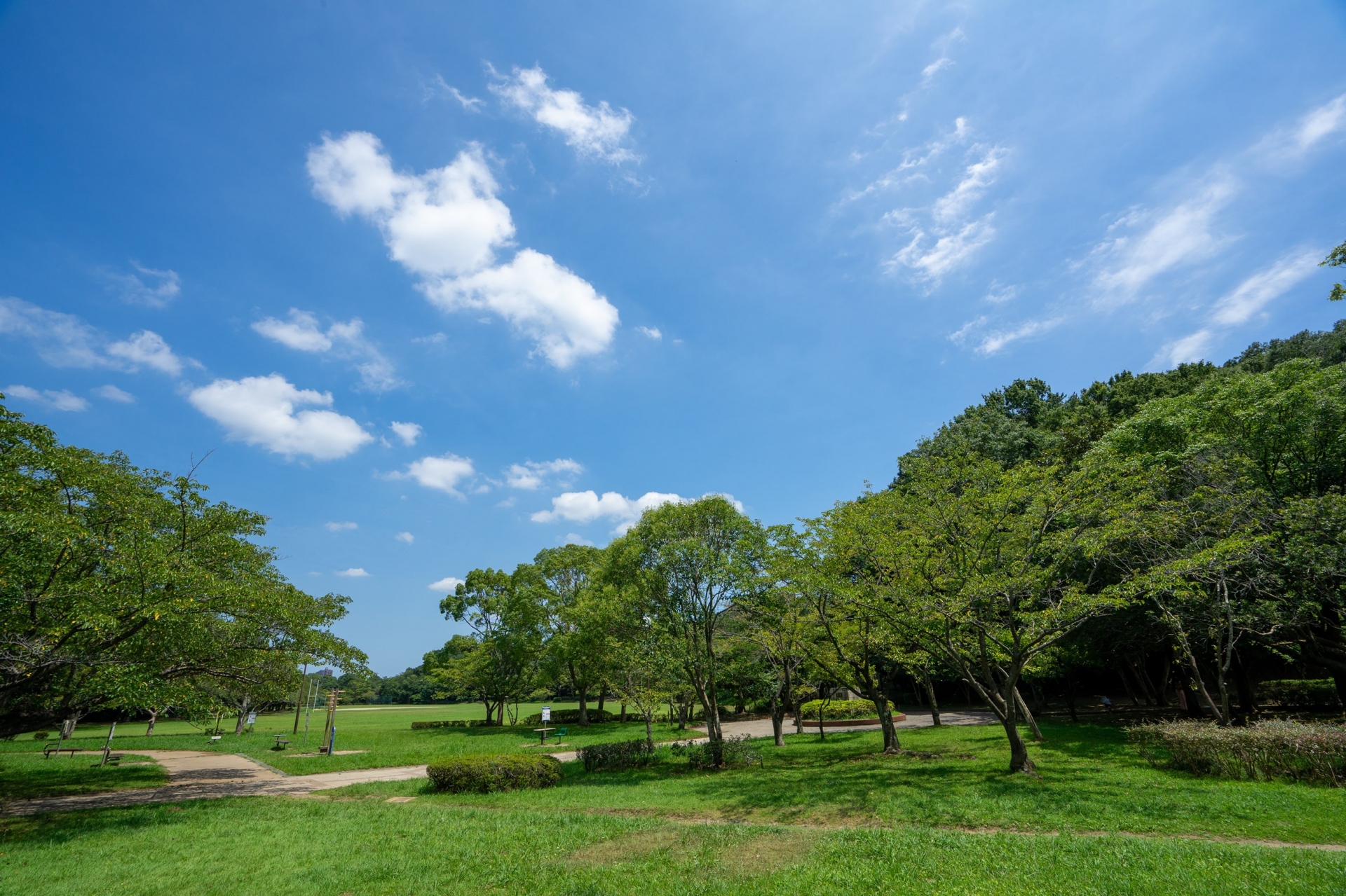 PPAモデルが導入された背景
